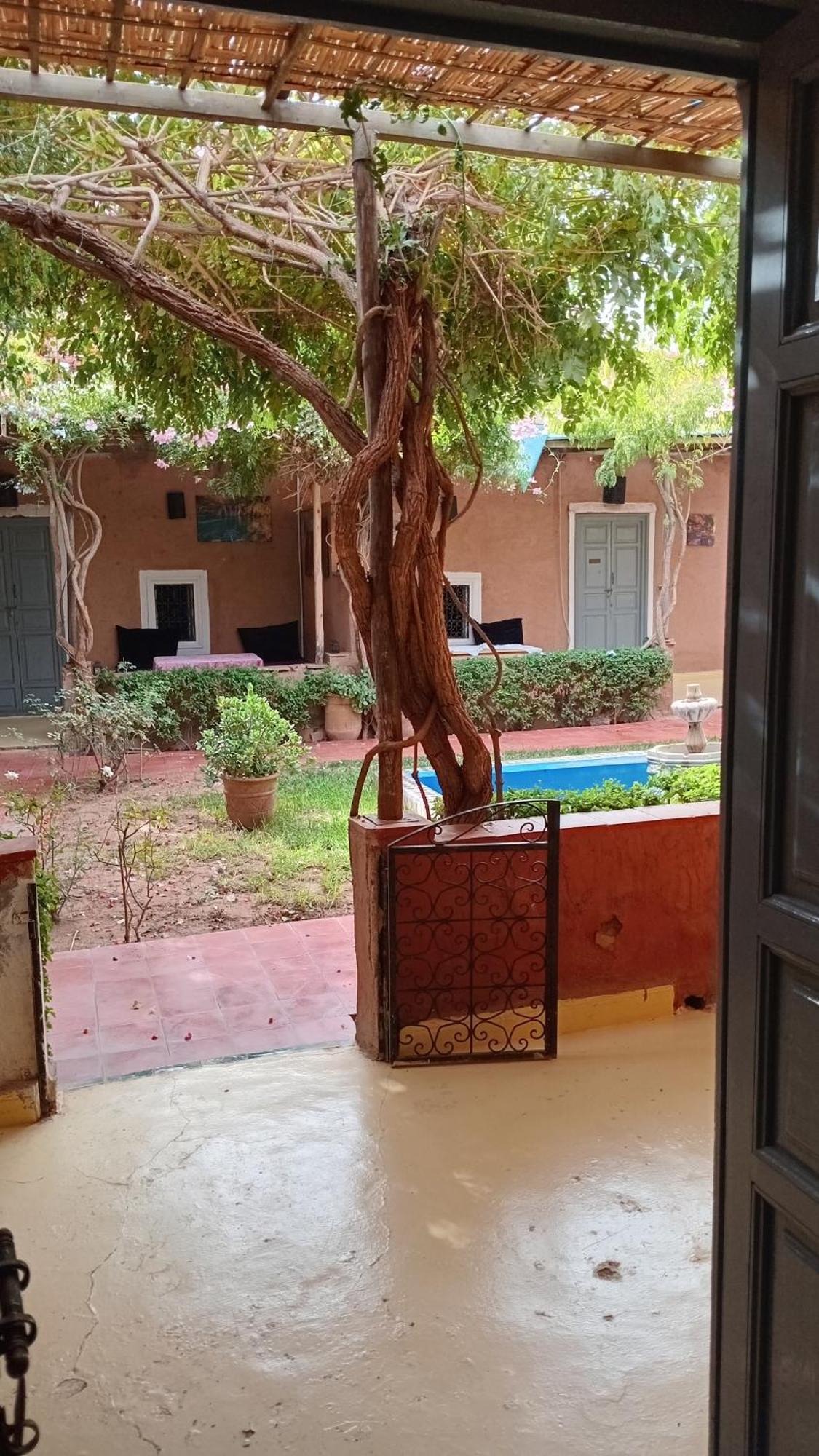 Maison Alphea Hammam *